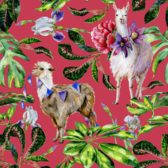 Watercolor seamless tropical pattern of  alpaca with flags and cartoon llama with pasque-flower, peony illustration. Exotic leaves of schefflera, croton, monstera. Use as wallpaper, wrapping paper.