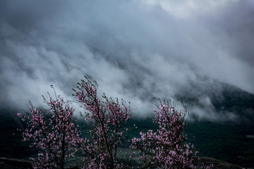 Paisajes de la naturaleza