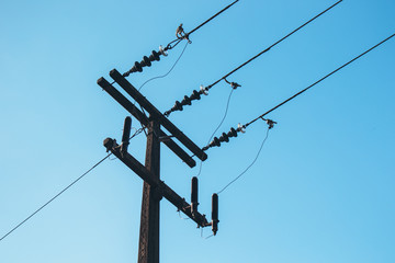 Electric pole and wires
