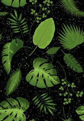 Fototapeta na wymiar Realistic illustration of tropical plant leaves set. Monstera, fern, palm, yucca. Tropical plant concept