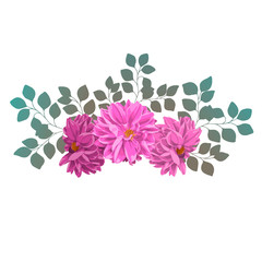 Pink Dahlia flowers with branches.isolated on white.print for t-shirts