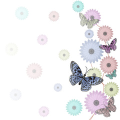 Butterflies Flower Floral Summer Spring Frame Background