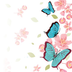 Obraz premium Butterflies Flower Floral Summer Spring Frame Background