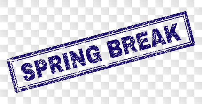 SPRING BREAK stamp seal imprint with scratched style and double framed rectangle shape. Stamp is placed on a transparent background.