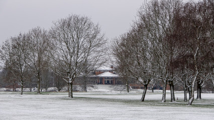 winter in the park