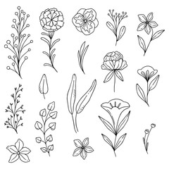 Illustrated doodle flowers, organic lines and shapes, floral design elements. 
