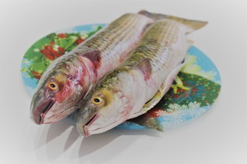  Two large mullet cooked for frying for Easter are on a color dish