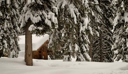 chalet lost in forest