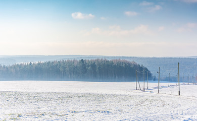 Winter landscape with forest
