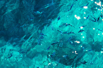 Fototapeta na wymiar Beautiful texture of sea water with small fish. Holiday background. Backgrounds