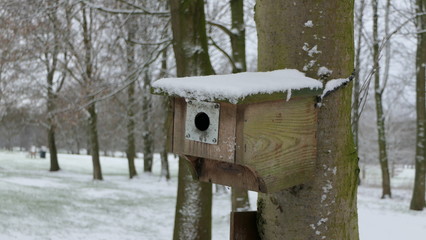 birdhouse on a tree