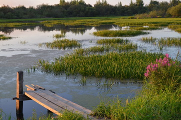 bridge on the lake for fishing camel reflection beauty picture Wallpaper