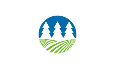 pine tree and grass vector