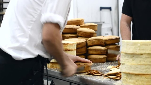 pastry chef cutting the sponge cake on layers. Cake production process .
