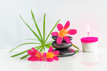 Spa composition. Pyramid of black massage stones, purple flowers and burning candle on the white background