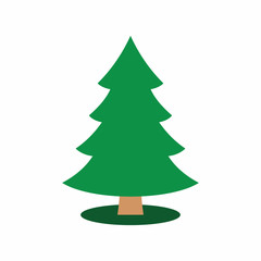 Spruce vector icon