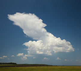 Obraz na płótnie Canvas Updraft in cumulonimbus clouds over the field in the countryside.