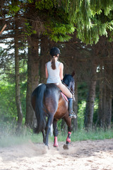 Young lady riding a horse in forest. Training process