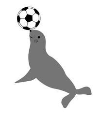 サッカーボールで遊ぶアシカ