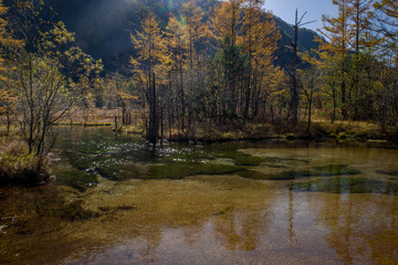 紅葉の上高地　田代池