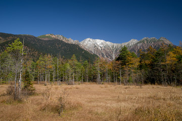 紅葉の上高地　田代湿原と穂高連峰