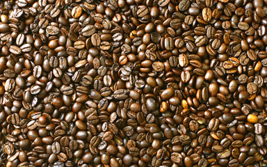 Coffee beans texture background