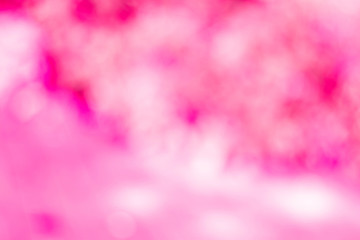 Pink rose bokeh blurred shining light. Blur background for valentine day sweet romantic backdrop.