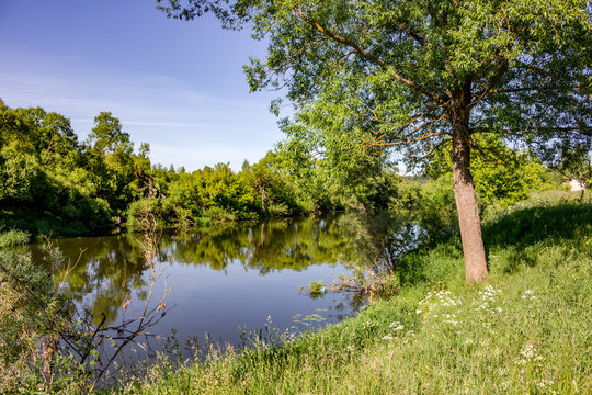 Scenic view of the shore of a small river, summer day. River Protva, Russia