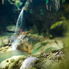 Green moss space for your decoration and waterfall background of Madagascar. 