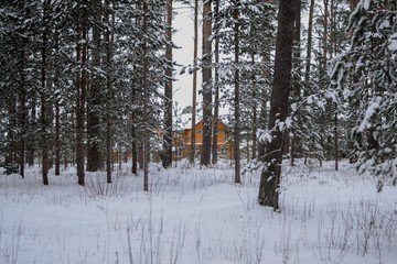 Wood cabin