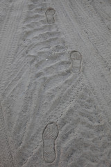 Wind textures on sand in Sahara