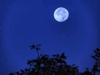 Fototapeta na wymiar La luna en su máximo esplendor.