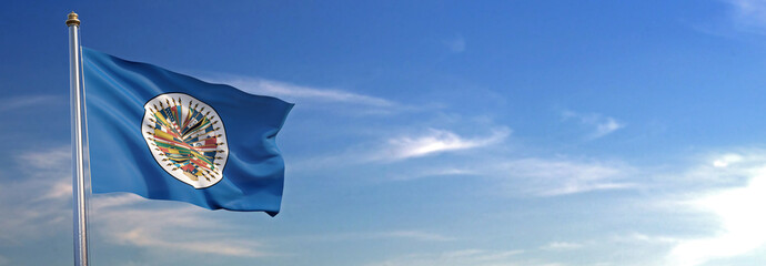 Flag of OEA rise waving to the wind with sky in the background
