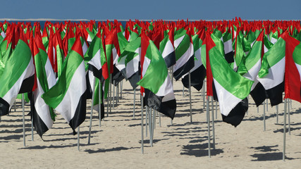 A field of UAE flags on Kite Beach, Dubai