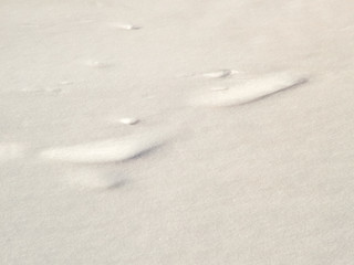 Shadows and patterns on the surface of snow