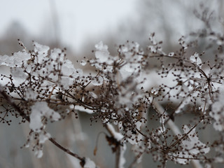Ice, Winter & Nature