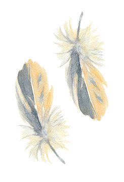 Stylized semiplume feather of the yellow pine grosbeak. Watercolor Illustration.