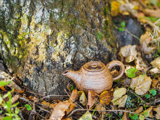 Kettle on the background of autumn yellow foliage. Acorns are all around. Kettle stands under a tree in the forest. The girl puts tea in the kettle. Suitable as background