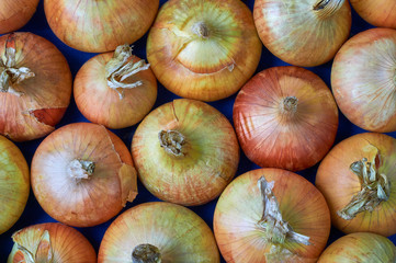 heads of fresh onion golden brown. Food background. (corrected)