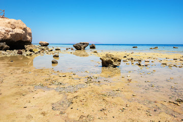 Fototapeta na wymiar Coral reef Egypt