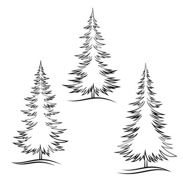 Set of Christmas Trees, Fir Tree Black Contour Winter Symbols, Isolated on White. Vector