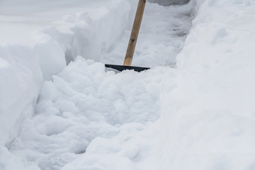 A black shovel with a yellow wooden handle is used for clean white snow from the path in winter