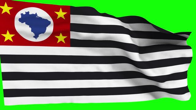 Bandeira Estado de S&atilde;o Paulo