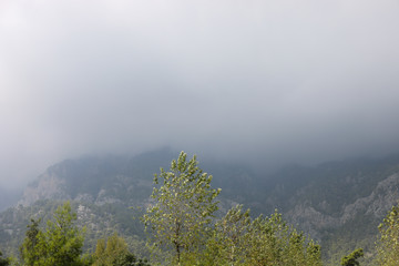 Gray storm sky in the mountains and green trees in the foreground.