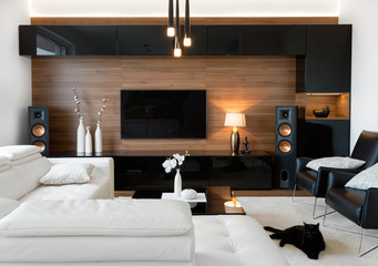Modern living room with stereo speakers