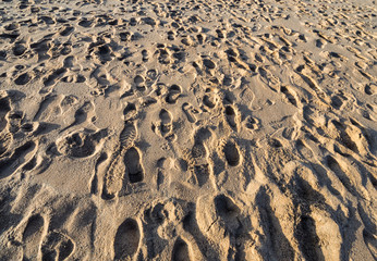 Footsteps in the sand on a cold  winters day