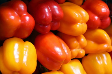 Colorful fruit pepper closeup on the window