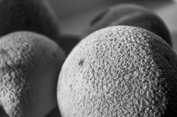 Frozen oranges and lemons on a red plate, covered in frost