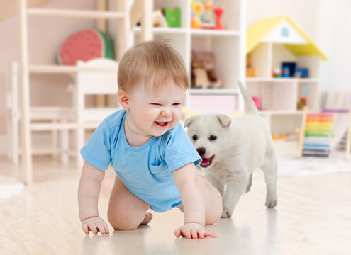 Little baby boy crawling and playing with adorable puppy at home - Powered by Adobe