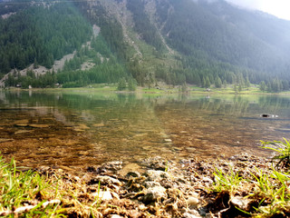 Beautiful sunny light on the lake shore